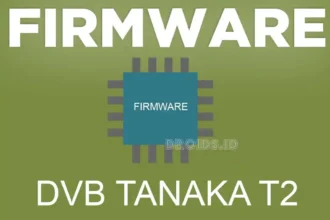 Software DVB Tanaka T2